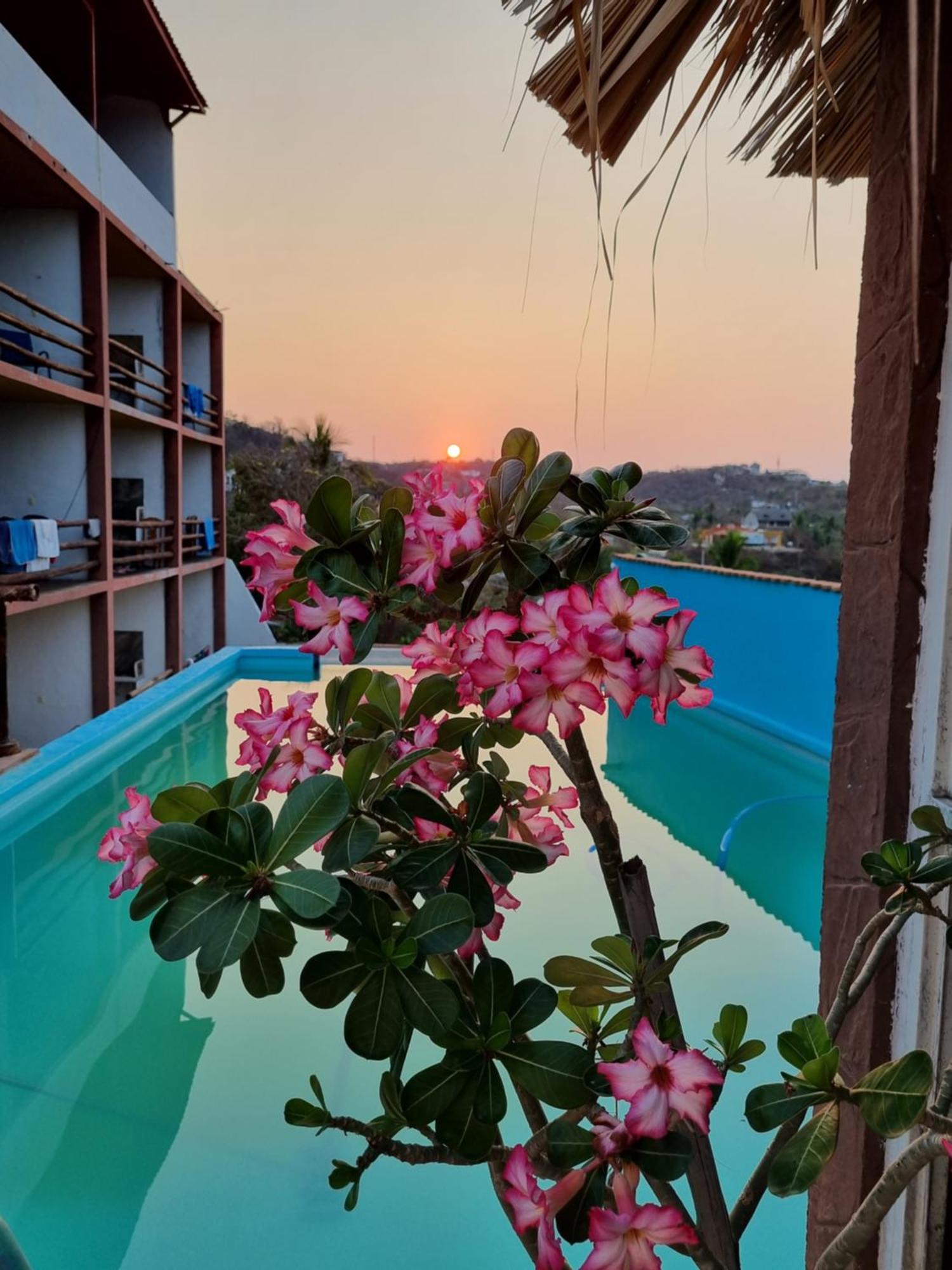 Namaste Zipolite Suites المظهر الخارجي الصورة